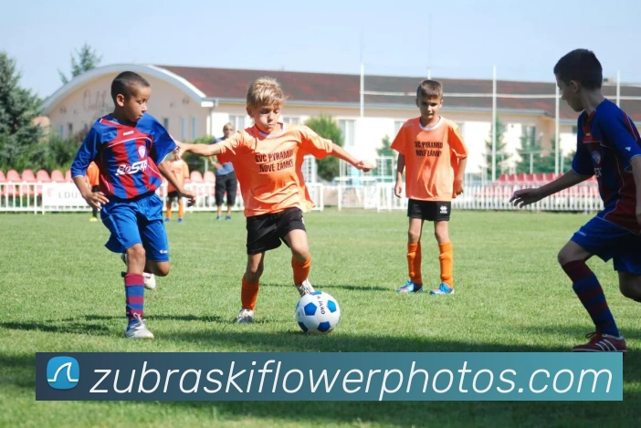 赛事专题整合
